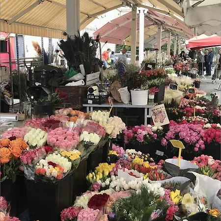 Coquet 2 Pieces * Nicea